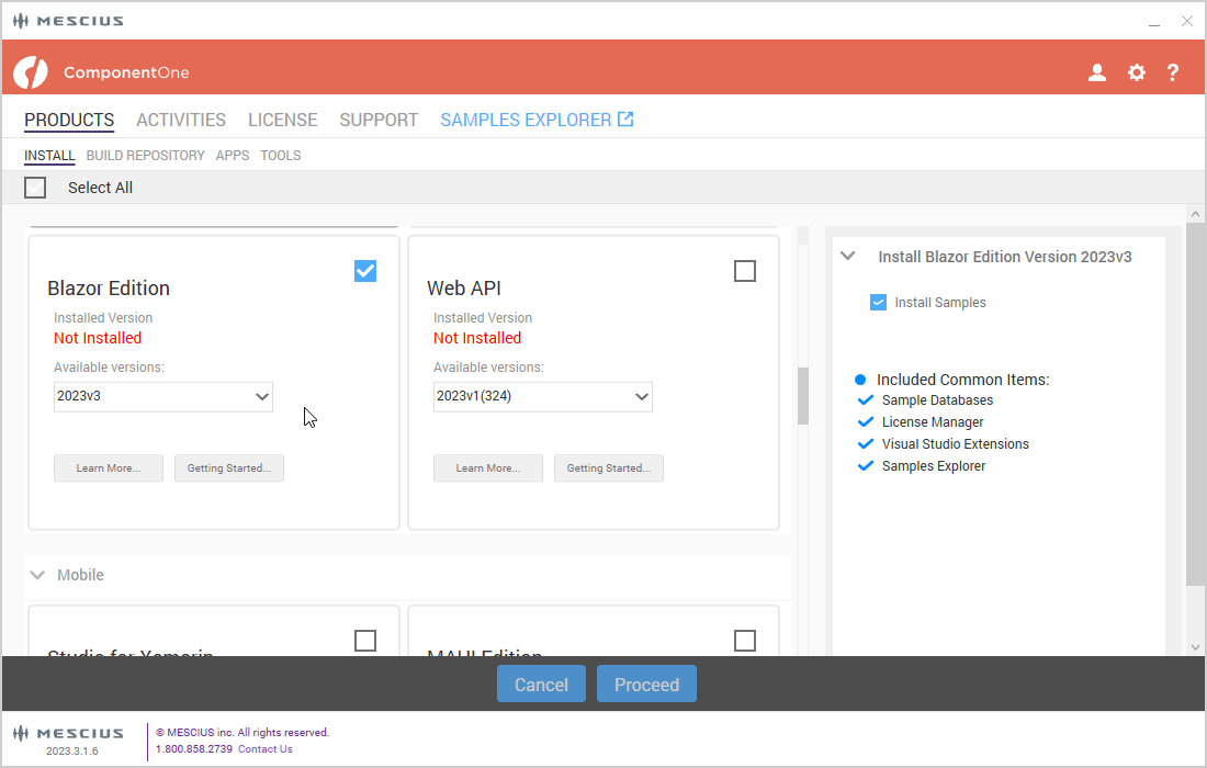 Blazor installation