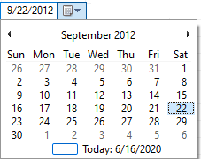 組み込み日付エディタ