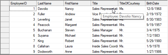 セルにツールチップを表示