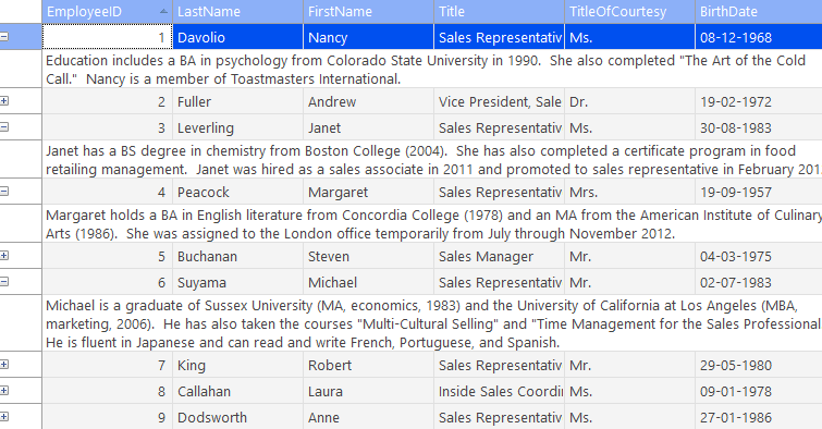 カスタム行詳細
