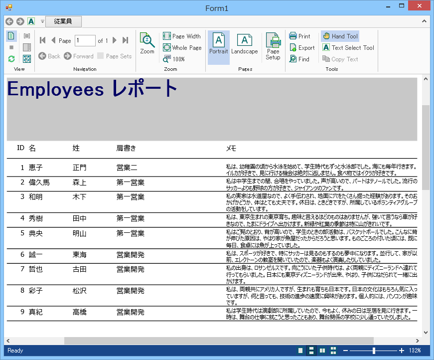 Create Report Definition in FlexReport