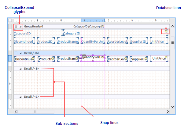 The image depicts the different tabs and statusbar in the report designer.