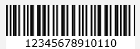 Barcode encoding type