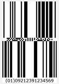 Barcode encoding type