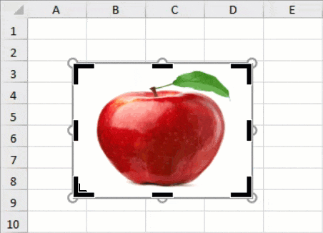 Crop images using runtime UI in Spread for Winforms